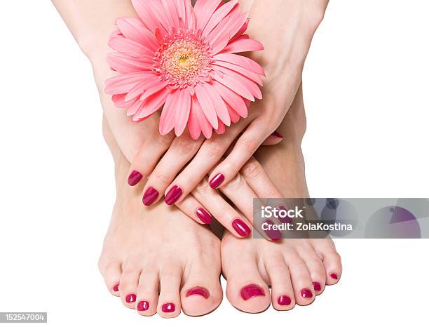 Closeup Of Manicured And Pedicures Nails With Flower Stock Photo - Download Image Now