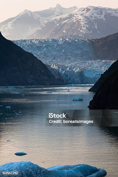 Tracy Arm Fiordo Foto de stock y más banco de imágenes de Agua - Agua, Aire libre, Alaska - Estado de los EE. UU.