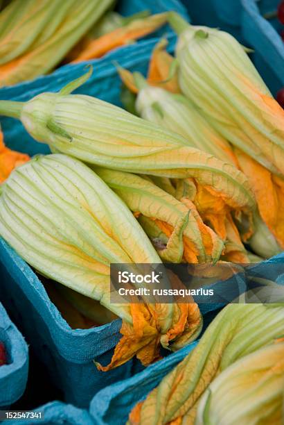 Photo libre de droit de Fleur De Courge banque d'images et plus d'images libres de droit de Agriculture - Agriculture, Aliment, Aliment cru