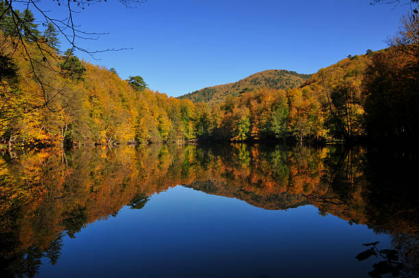 istock Landscape with autumn trees reflecting from a lake 152548603