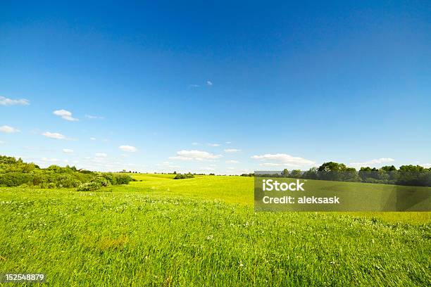 Paisagem De Verão - Fotografias de stock e mais imagens de Agricultura - Agricultura, Ajardinado, Ao Ar Livre