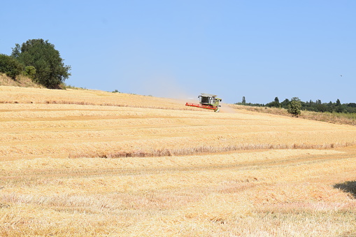 Thür, Germany - 07/07/2023: Harvester in a field