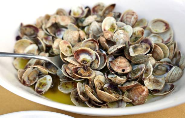 istock Sauteed olive oil clams with black pepper 1525504986