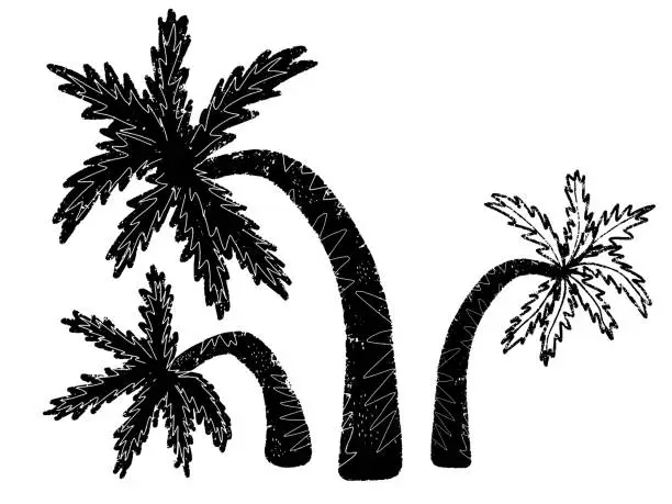 Vector illustration of Palm tree stylized. Vector set. Hand-drawn illustration in linocut style. Black vector element for design