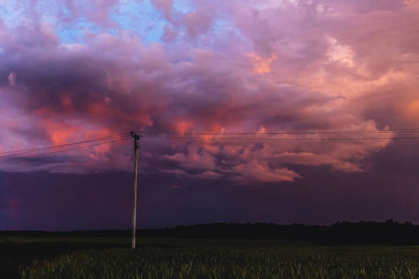 일몰 하늘 배경입니다. 비구름. 여름 저녁. - storm corn rain field 뉴스 사진 이미지