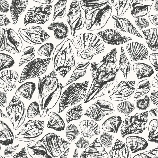 Vector illustration of Seashell seamless pattern with hand drawn shells