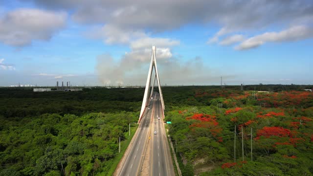 Aerial flight above two lane speed highway with the suspension bridge between green tropical forest at sunrise. San Pedro de Macoris, Dominican Republic
