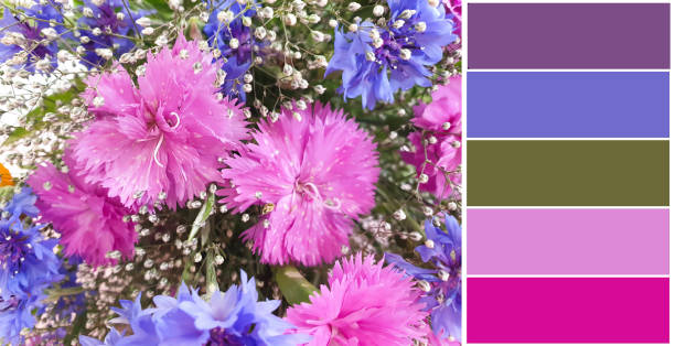 istock Beautiful flower, spring color palette 1525702603
