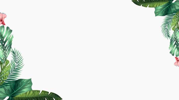열대 괴물 잎과 밝은 야자수 잎이 있는 벡터 배경 배너, 전단지 또는 텍스트 또는 기호에 대한 복사 공간이 있는 커버 - cheese plant leaf tree park stock illustrations