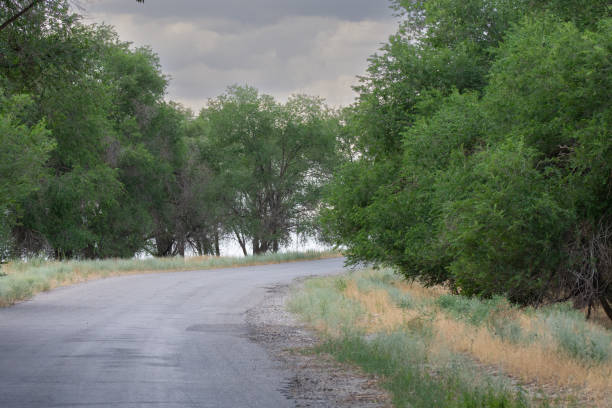 istock sharp turn on country road, gray sky 1525771654