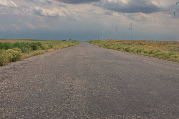 asphalt road in the steppe stretching into the distance
