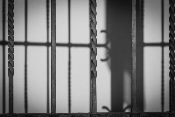 istock lattice bars in black white and a shadow 1525778102
