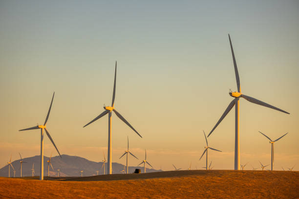 istock Wind Turbines in Solano County 1525804266