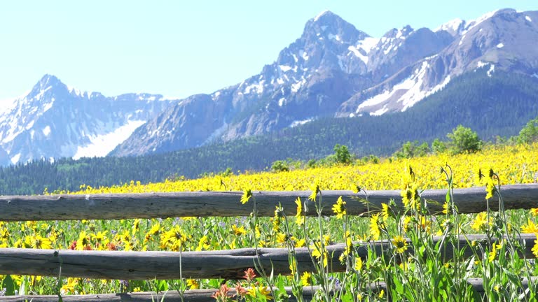 Telluride Colorado