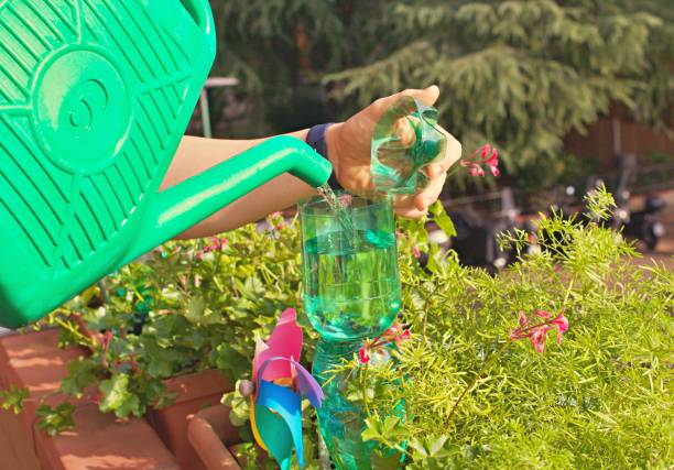istock plastic bottles for watering flowers on the balcony as irrigation system 1525844237