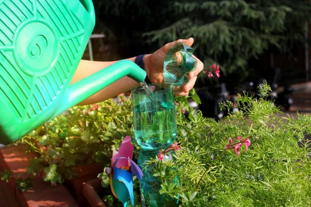 istock plastic bottles for watering flowers on the balcony as irrigation system 1525844243