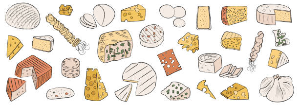 さまざまな種類のチーズの大規模なコレクション。アウトライン付きの食べ物のイラストのセット。シンプルな手描きのベクター画像クリップアート。分離型設計要素。乳製品。ハードチー� - chechil点のイラスト素材／クリップアート素材／マンガ素材／アイコン素材