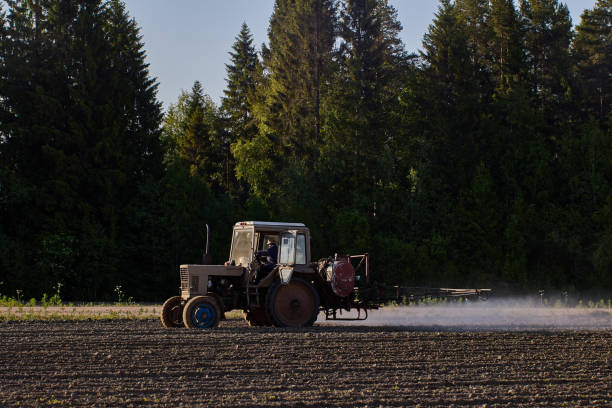 Farm tractor applies herbicides to potato crop using sprayer on boom. Tractor mounted boom sprayer applies herbicides to potato field. apply fertilizer stock pictures, royalty-free photos & images