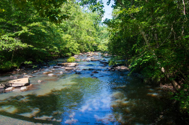 istock Line Creek Peachtree City GA 1525936863