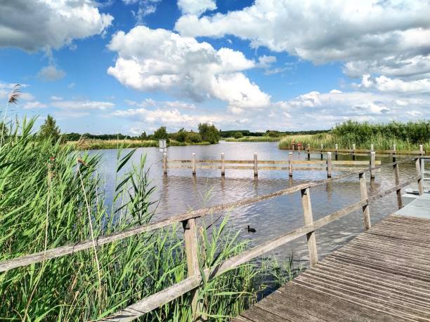 istock Peace and space in a Dutch nature reserve. 1526032838