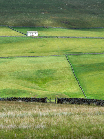 White Farmhouse with lush green fields and drystone walls with light and shadows on the land Upper Teesdale, an Area of Outstanding Natural Beauty in County Durham in summer time, from near The Pennine Way long distance footpath.