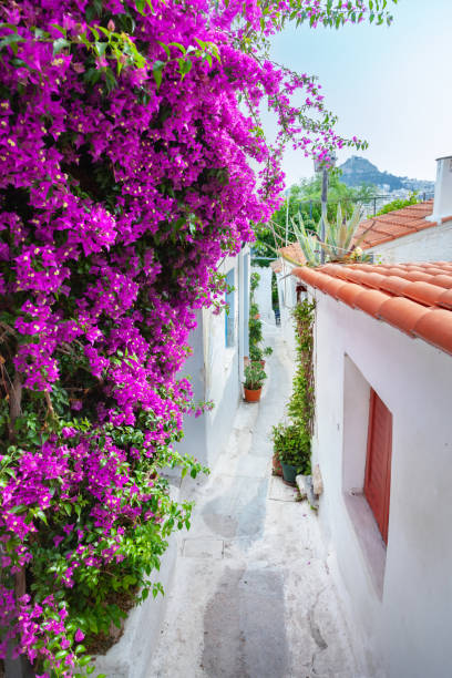 istock Street view of Anafiotika 1526107523