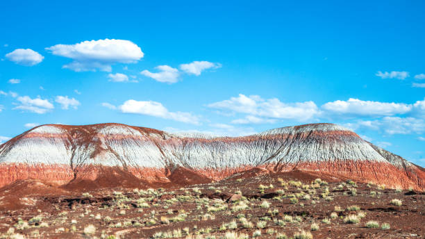 Paisagem colorida no Arizona - foto de acervo