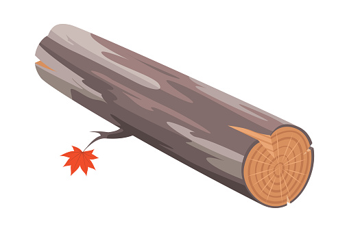 Vector illustration of tree log. Adversting icon or image for forestry and lumber industry.