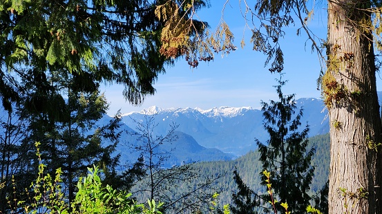 Beautiful view of snowcapped mountain(Seymour mountain)and blue ocean inlet(Burrard Inlet) at Burnaby Mountain, BC, Canada