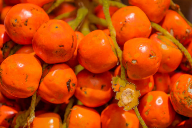 istock Chontaduro fruit of the Amazon palm tree - Bactris gasipaes 1526300952