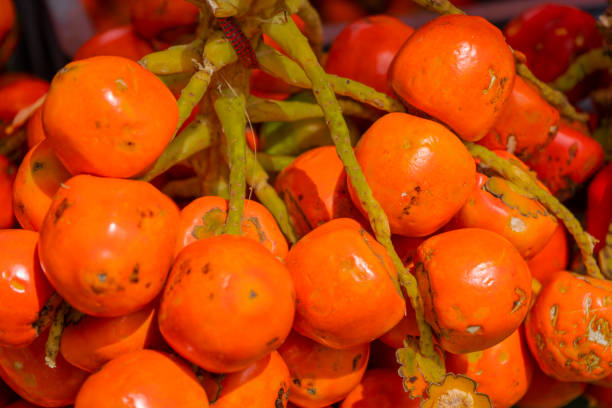 istock Chontaduro fruit of the Amazon palm tree - Bactris gasipaes 1526303001