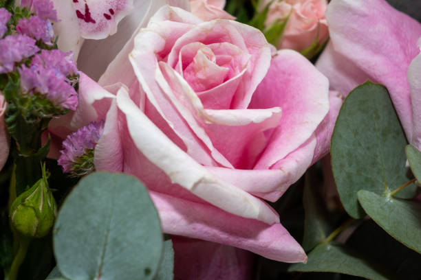 istock Pink flower in bouquet 1526346763