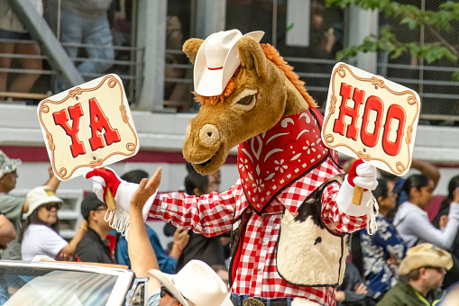 Calgary, Alberta, Canada. July 7, 2023. Harry the Horse Stampede mascot holding a couple of signs that said YAHOO at a public parade.