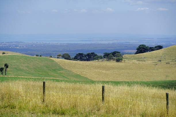 istock Kurumburra,  Victoria,  Australia 1526398278