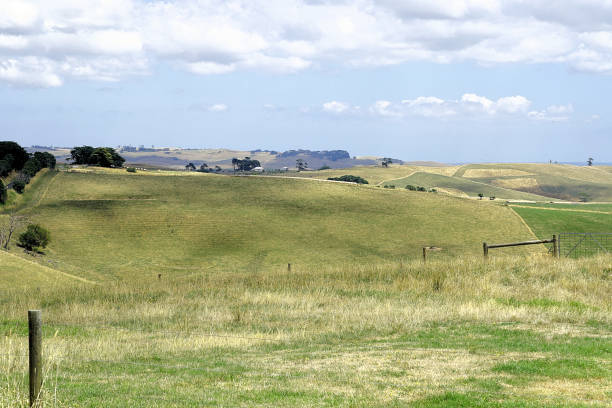 istock Kurumburra,  Victoria,  Australia 1526398280