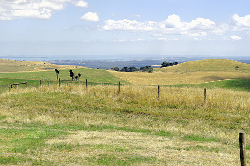Rural come farm vista from the Loch-Wonthaggi lookout has a nice shelter and views over Gippsland Country
