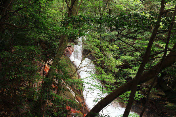 istock Nunobiki Falls in the forest 1526473353