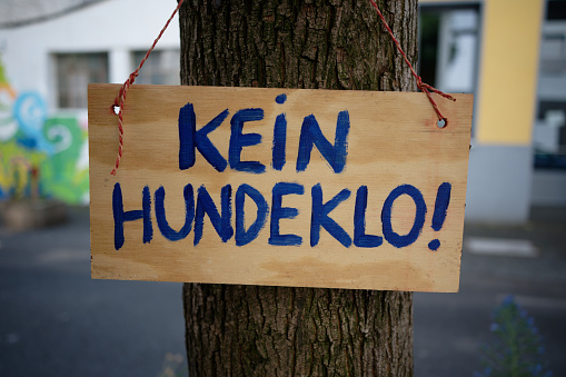 a handpainted wooden sign with the german inscription -no dog toilet- hangs on a tree in a city