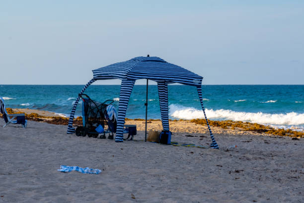 White Sand Beach in Florida with Crystal Clear Waters and Blue Skies. A lot of tourists visit this state during the summer months.