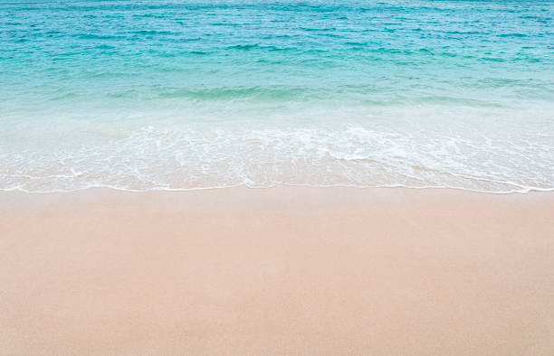 istock Beautiful sandy beach and soft blue ocean wave. Copy space. 1526555424