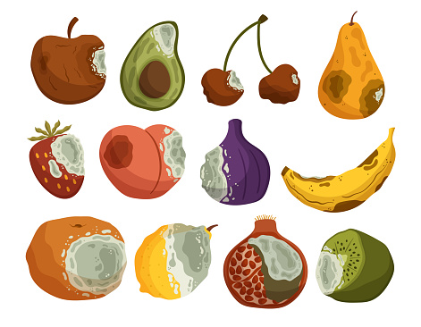 Set of Isolated Rotten Fruits, Decomposed And Spoiled Food with A Foul Odor, Discolored Appearance, And Mushy Texture Due To The Breakdown Of Organic Matter. Cartoon Vector Illustration