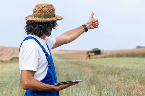 istock Smart farming. Farmer during wheat harvest season. 1526565052