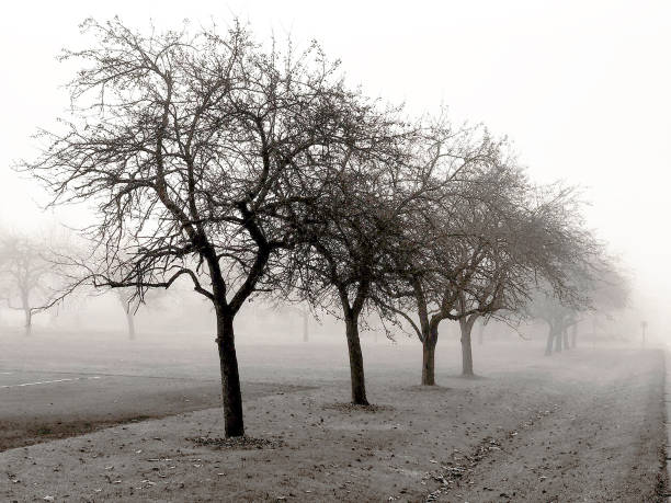 istock November misty morning 1526589645
