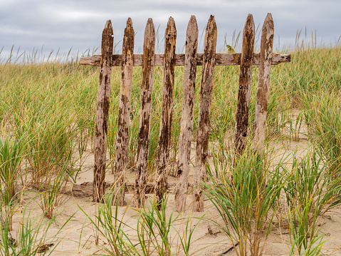 Within a backdrop of grassy sand dunes, a fragment of an aged wooden fence stands resiliently.