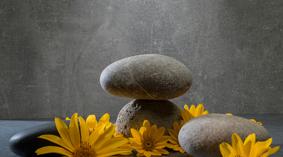 stones and yellow flowers for podium background