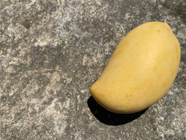 Mango, The original Thai fruits with concrete background
