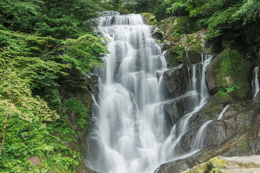 A waterfall full of negative ions in Fukuoka Prefecture (Itoshima Shiraito Falls)