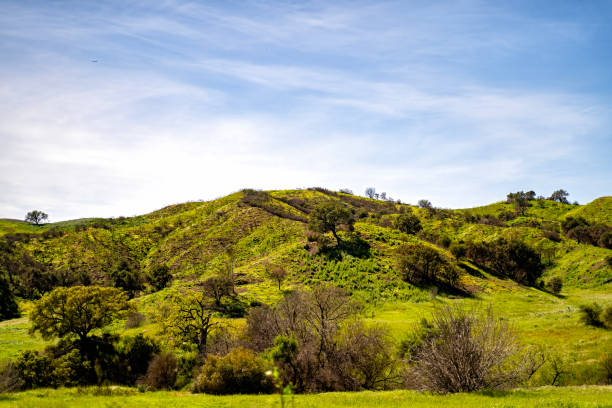 Lush hill on a blue sky background stock photo