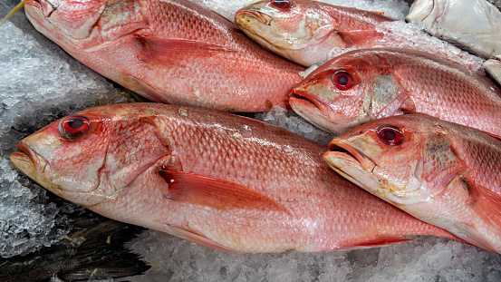 Red snapper on ice for sale in the market