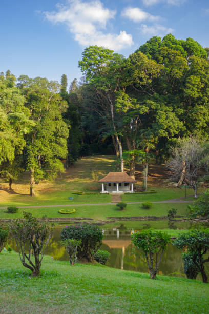 istock Botanical Gardens in Kandy Sri Lanka 1526944238